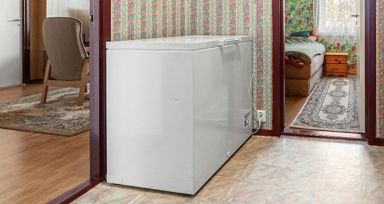 japonyada tuyler urperten olay kizinin cesedini 20 yil dondurucuda sakladi D3WnCW3Q