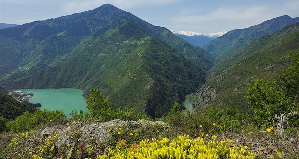 karadenizin en saglikli sehri belli oldu OQeaNlnM