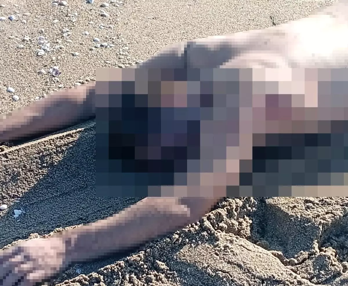 sakaryada ciplak erkek cesedi bulundu 7fZRq6YQ