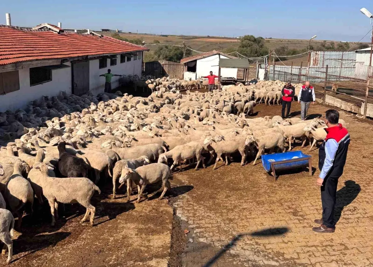 tekirdag tarim ve orman il muduru ciftcileri ziyaret etti SWiBquR1.jpg