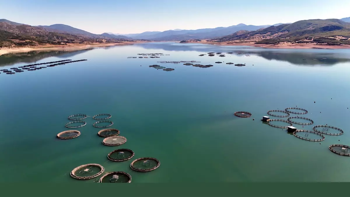 tokattan 5 ulkeye somon ve alabalik ihracati TTm71e4H