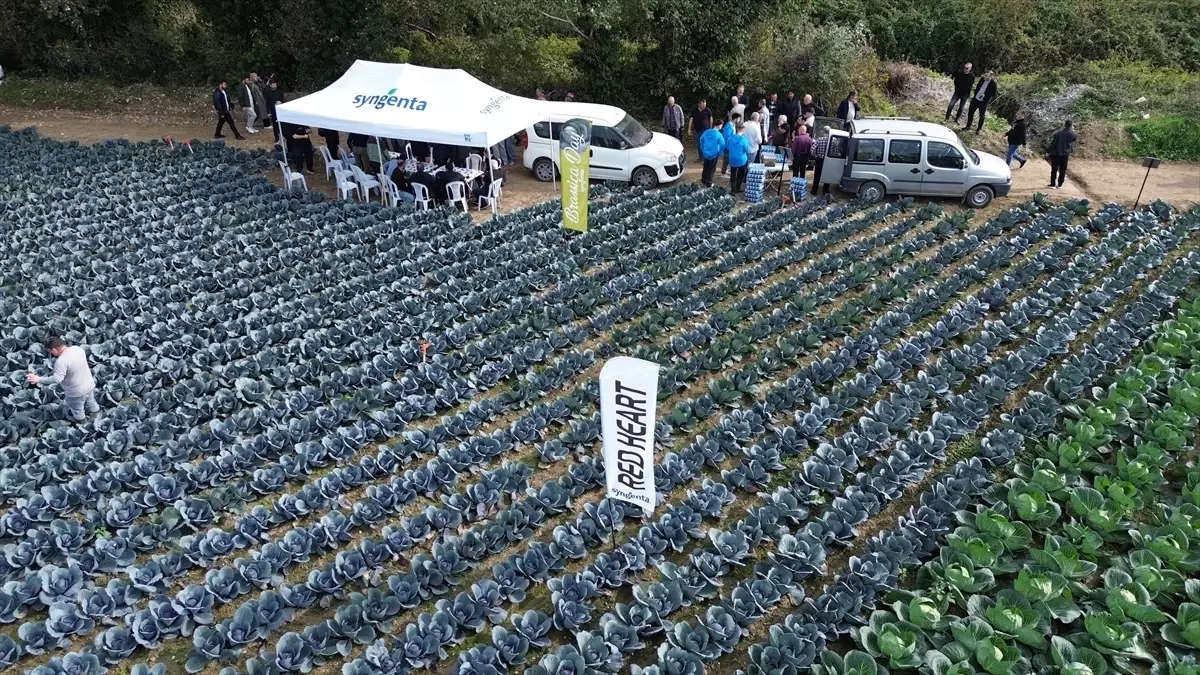 bafrada tarla gunu etkinligi fu6JXMsq.jpg