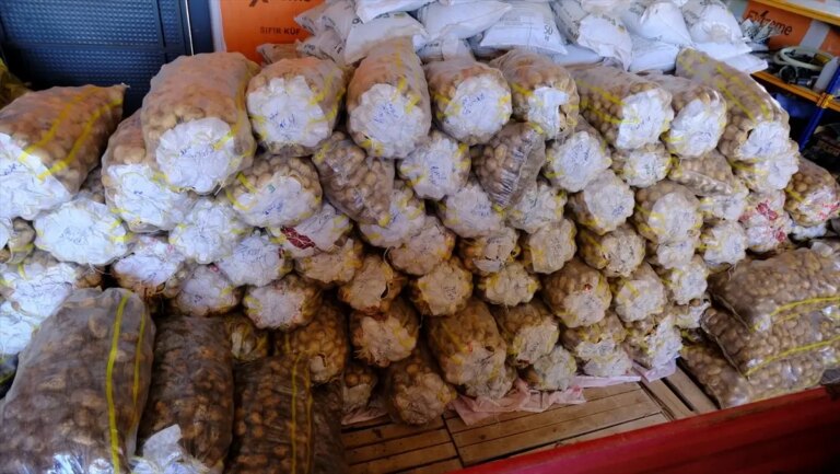 sivasta patates cesitlerinin adaptasyonu arastiriliyor ydI64RdC.jpg