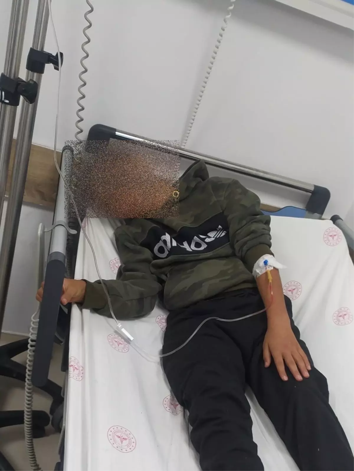 Sucuklu Tost, İki Kişiyi Hastanelik Etti