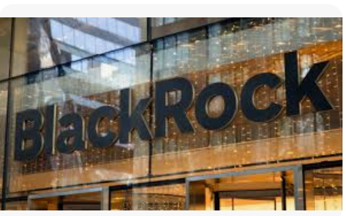 blackrock-turk-hisselerine-donus-yapti-piyasada-donus-sinyalleri-var-8raaRhmq.png