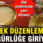 Bal Üretiminde Devrim: Yeni Petek Düzenlemeleri Yürürlüğe Girdi